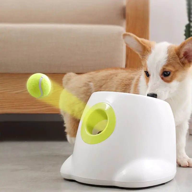 Catapult Ball Launcher Dog Toy