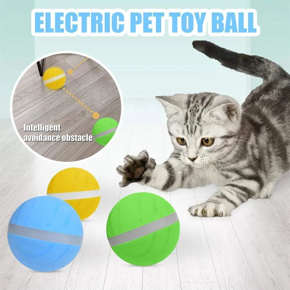 Active Jump Ball Dog Toy